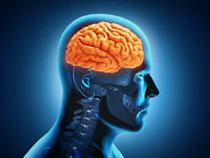 Entender las 4 categorías de los síntomas de daño cerebral